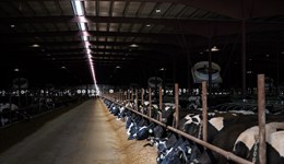 Shropshire: The 5 non-negotiables of a resilient dairy business